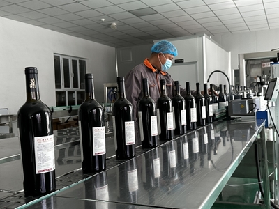 小樹(shù)莓變身大產(chǎn)業(yè) 伊寧市推動(dòng)特色林果業(yè)向優(yōu)質(zhì)高效發(fā)展